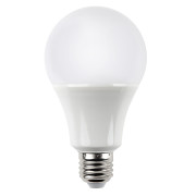 a21-led-bulb-12w-12-volt-dc